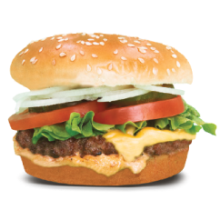 burger-img